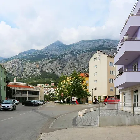 Olgica 2+2 *