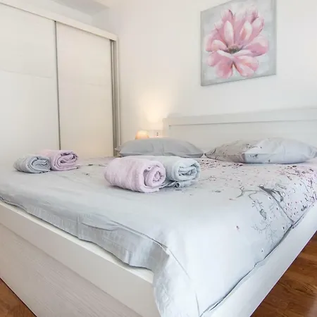 Olgica 2+2